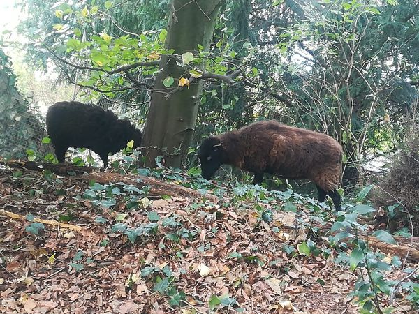 PHOTO-2020-12-02-12-25-18 3