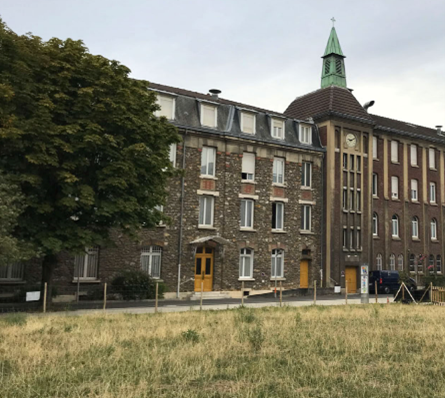 Rue des plantes herbes